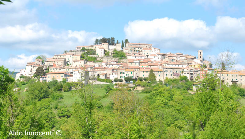 SEMPRONIANO: PANORAMA 2
